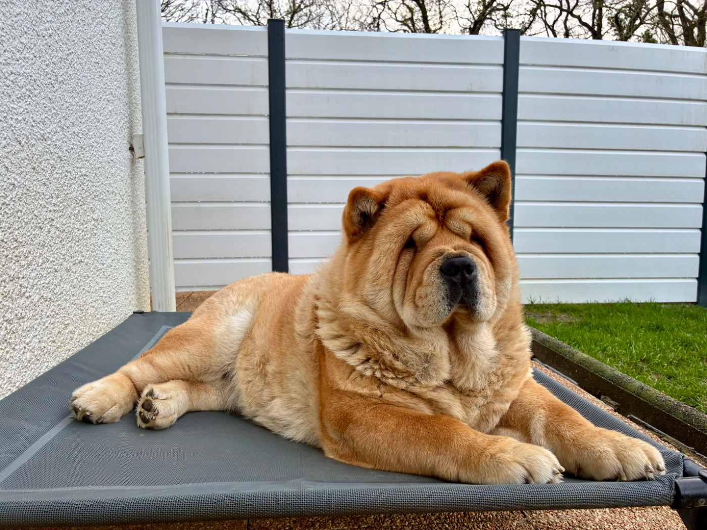 Vou-shang du domaine de fabadel